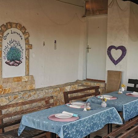 Casa Lavanda - Karin Gornji Горни Карин Екстериор снимка